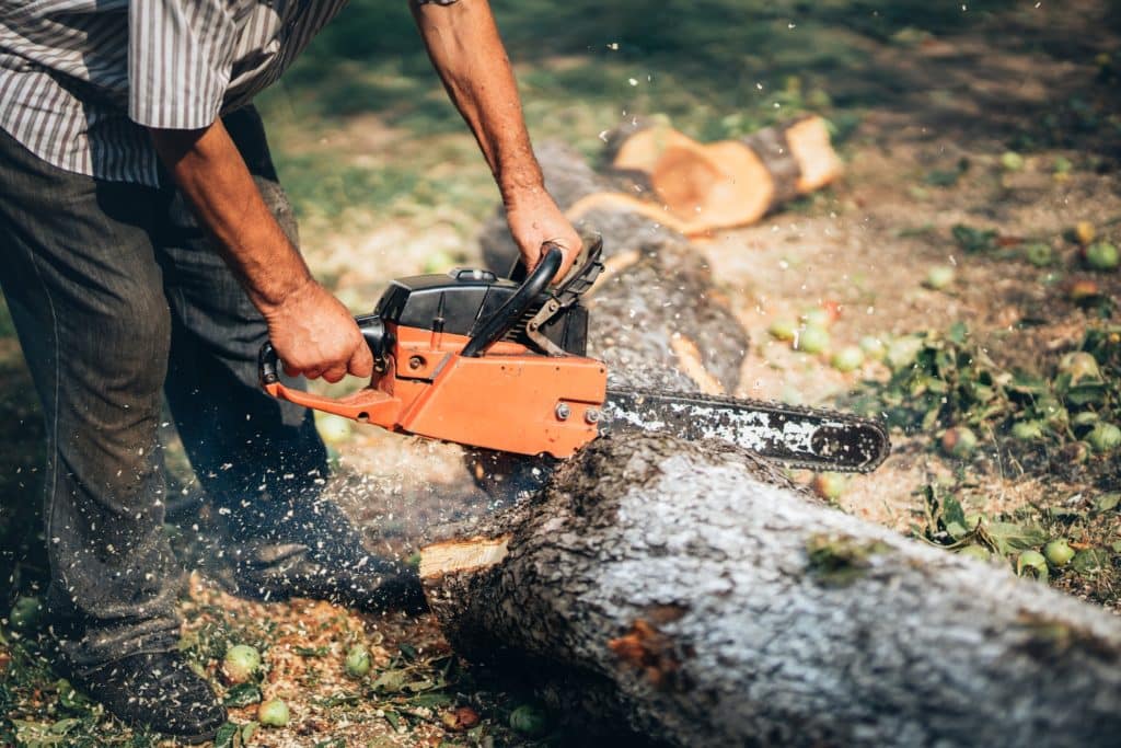 Adult man cutting trees with chainsaw and tools